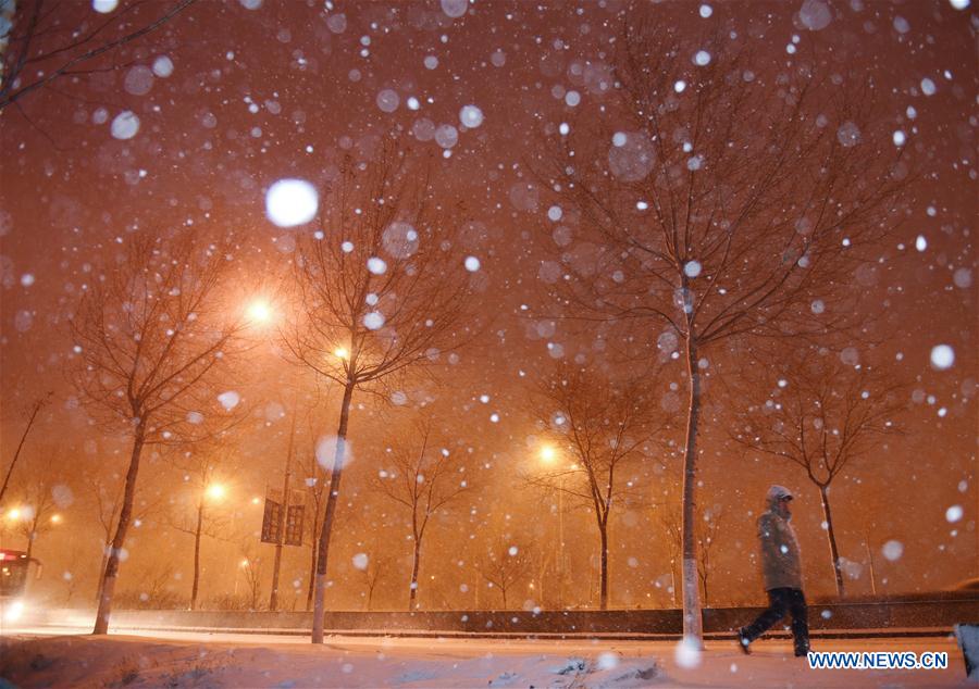 CHINA-JINLIN-SNOWFALL(CN)