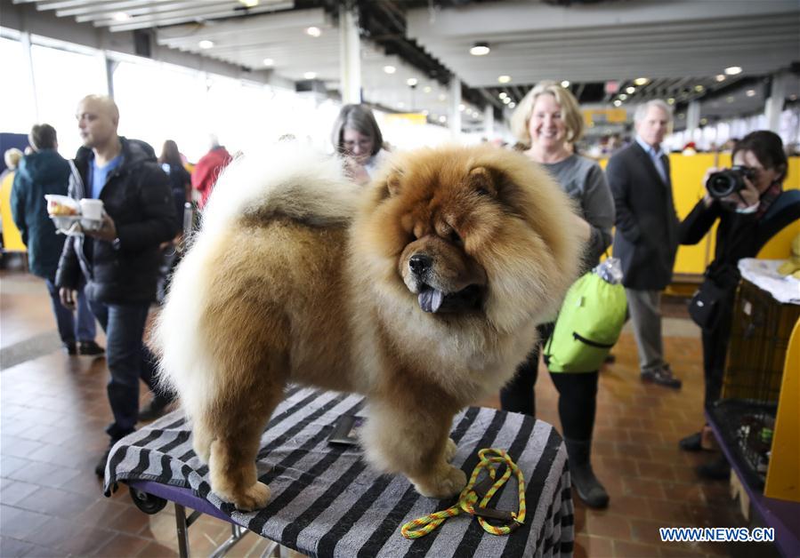 U.S.-NEW YORK-DOG SHOW