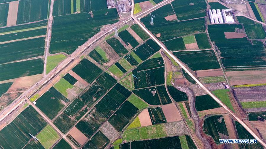 CHINA-HENAN-FARMLAND (CN)