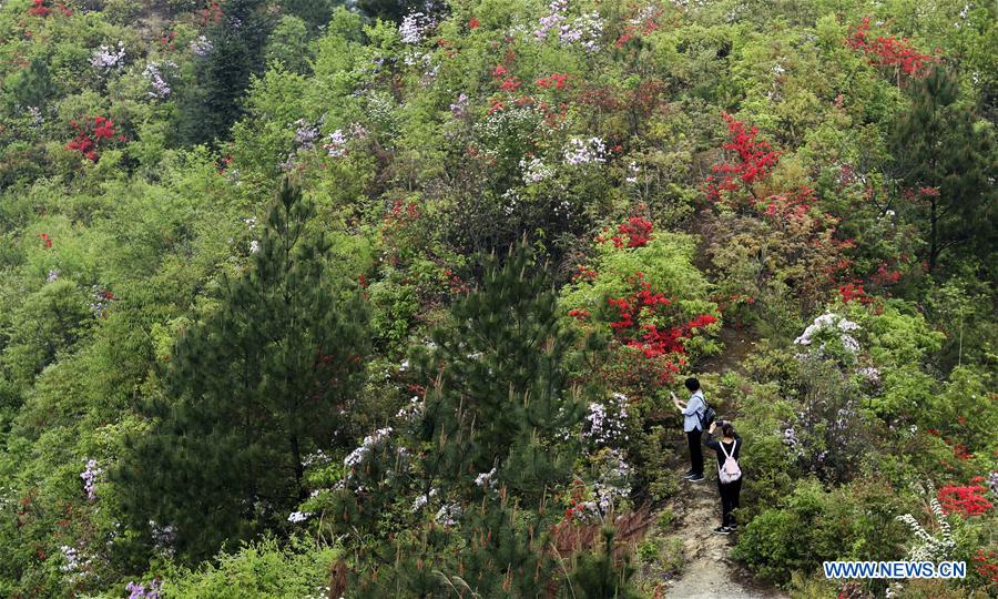 #CHINA-SPRING VIEWS (CN)