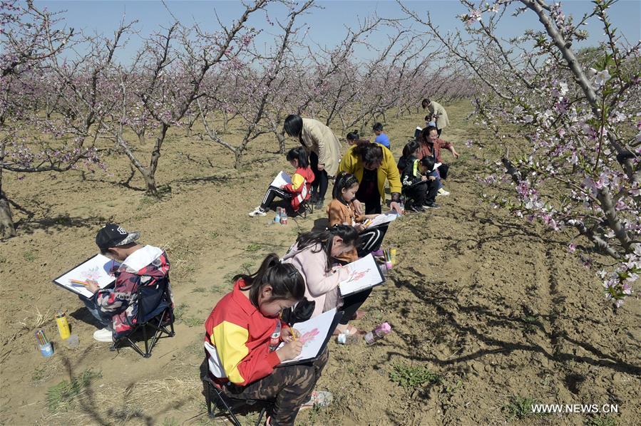 CHINA-HEBEI-PEACH FIELD-ART LESSON (CN)