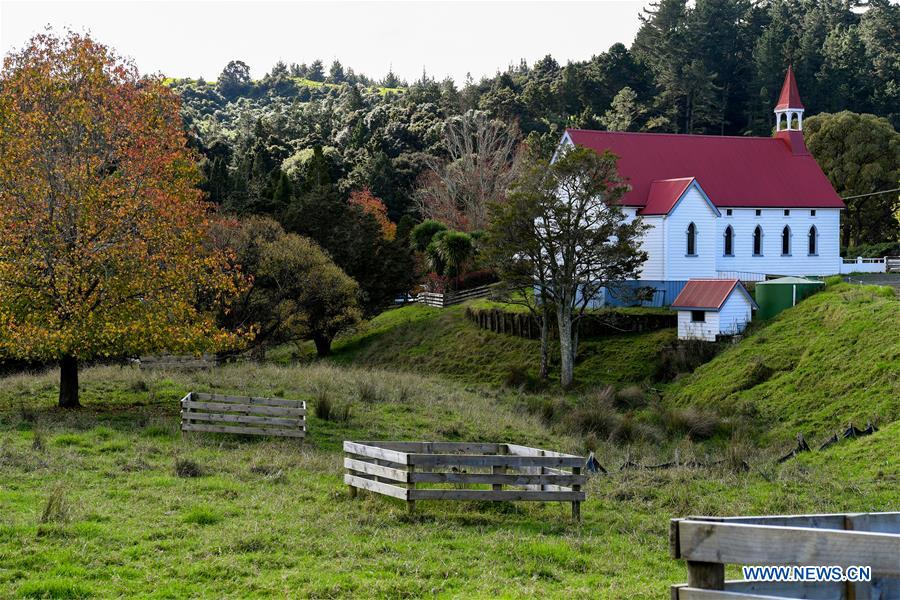 NEW ZEALAND-PUHOI-SCENERY