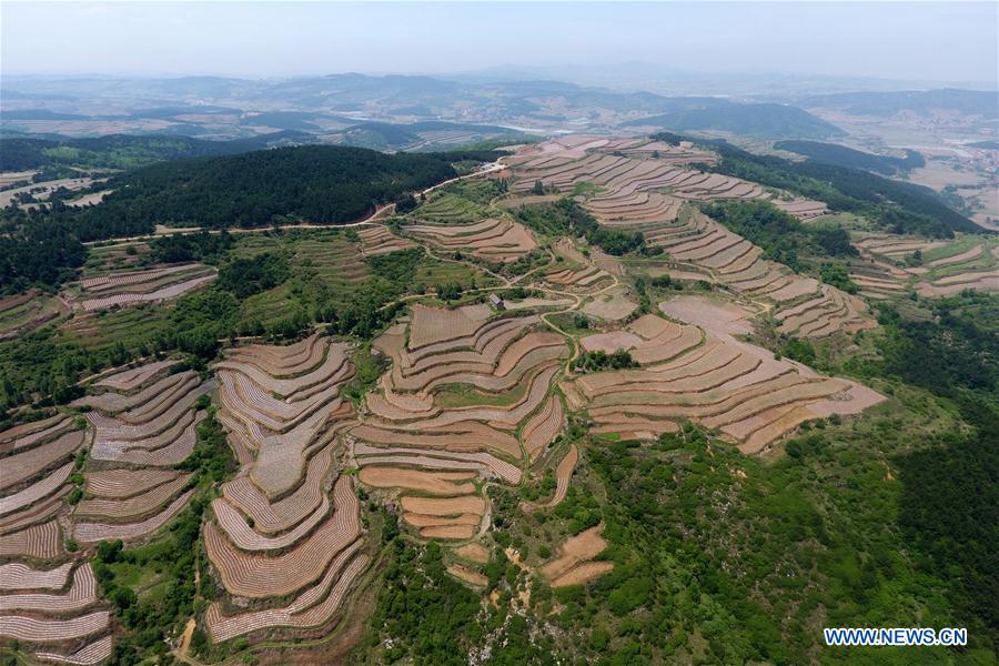 CHINA-SHANXI-HUGUAN-TERRACE FIELDS (CN)