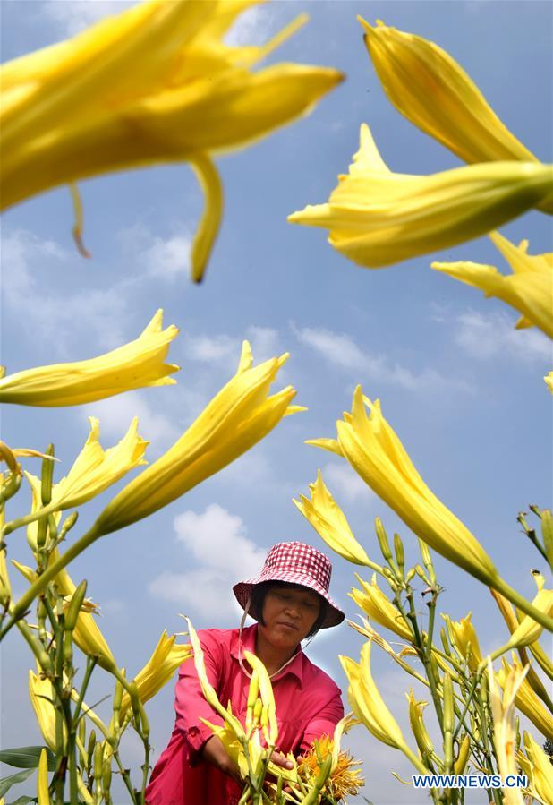 #CHINA-LESSER HEAT-FARMING (CN)