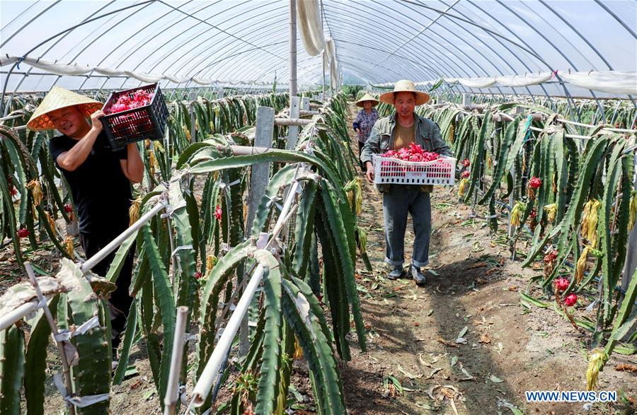 CHINA-ZHEJIANG-CHANGXING-POVERTY ALLEVIATION (CN)