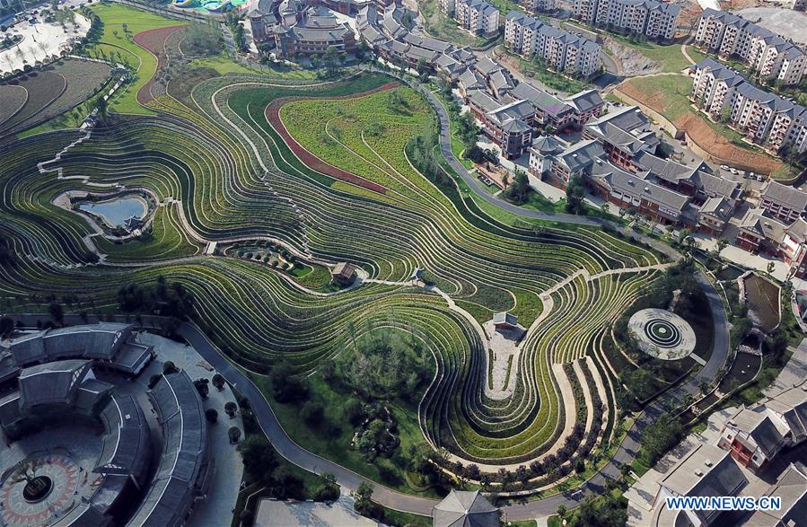 #CHINA-GUIZHOU-TERRACED FIELDS (CN) 