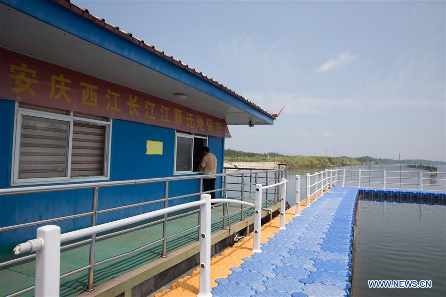 CHINA-ANHUI-FINLESS PORPOISE (CN)