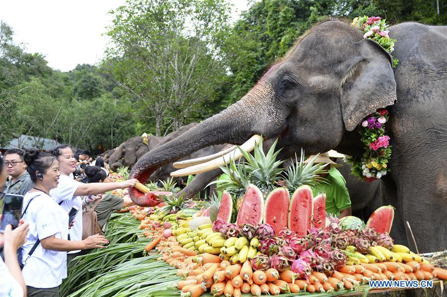 CHINA-YUNNAN-XISHUANGBANNA-WORLD ELEPHANT DAY (CN)