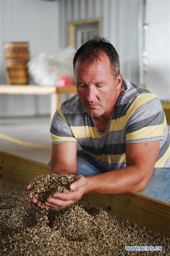 U.S.-WISCONSIN-GINSENG-TRADE-FARM