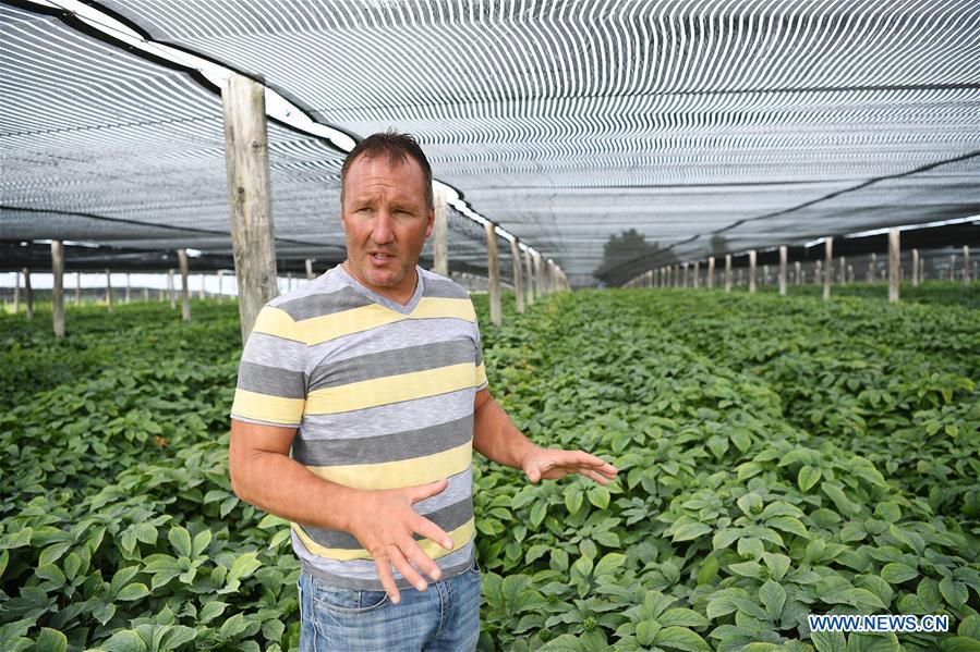 U.S.-WISCONSIN-GINSENG-TRADE-FARM