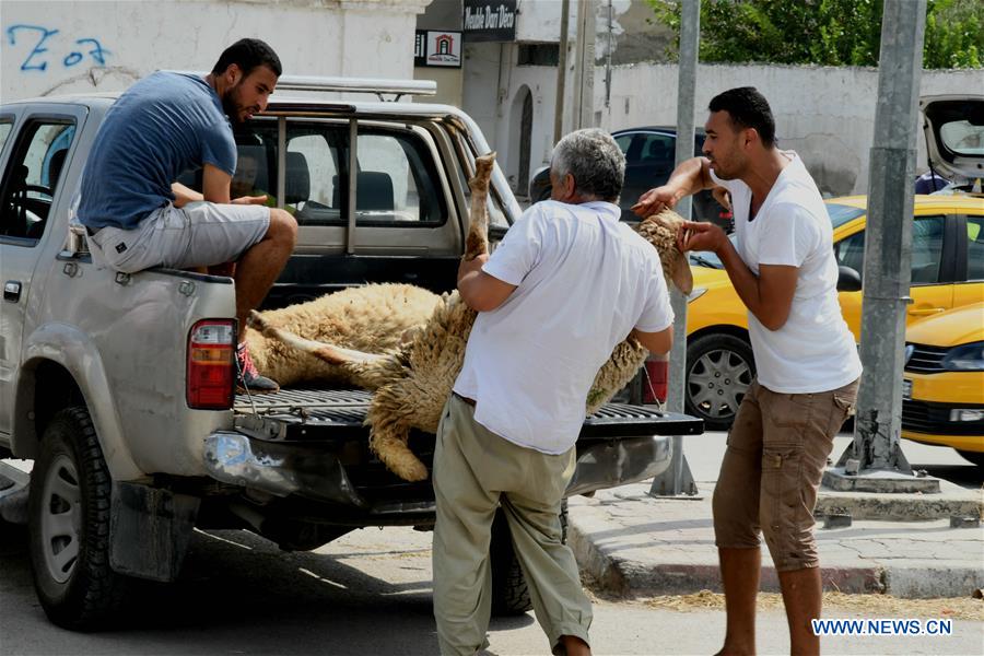 TUNISIA-TUNIS-EID AL-ADHA-LIVESTOCK MARKET 