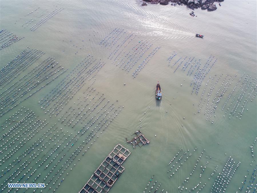 CHINA-ZHEJIANG-WENZHOU-MARICULTURE (CN)