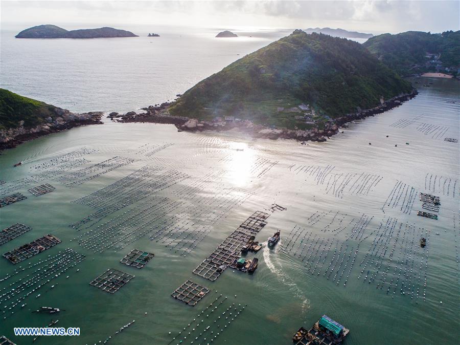 CHINA-ZHEJIANG-WENZHOU-MARICULTURE (CN)