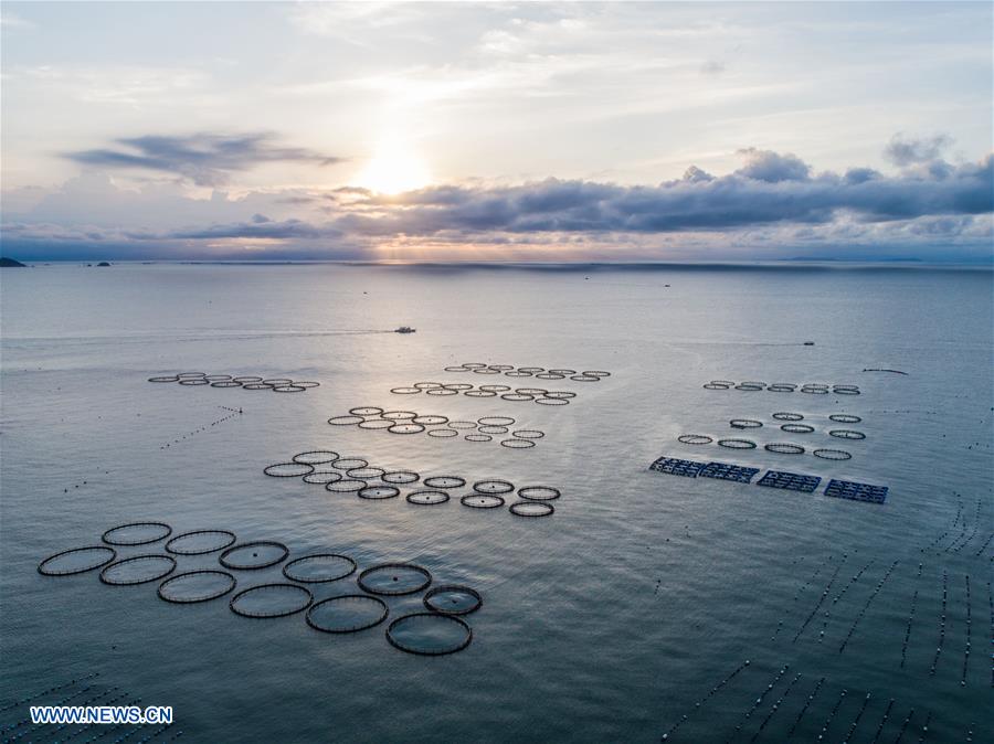 CHINA-ZHEJIANG-WENZHOU-MARICULTURE (CN)