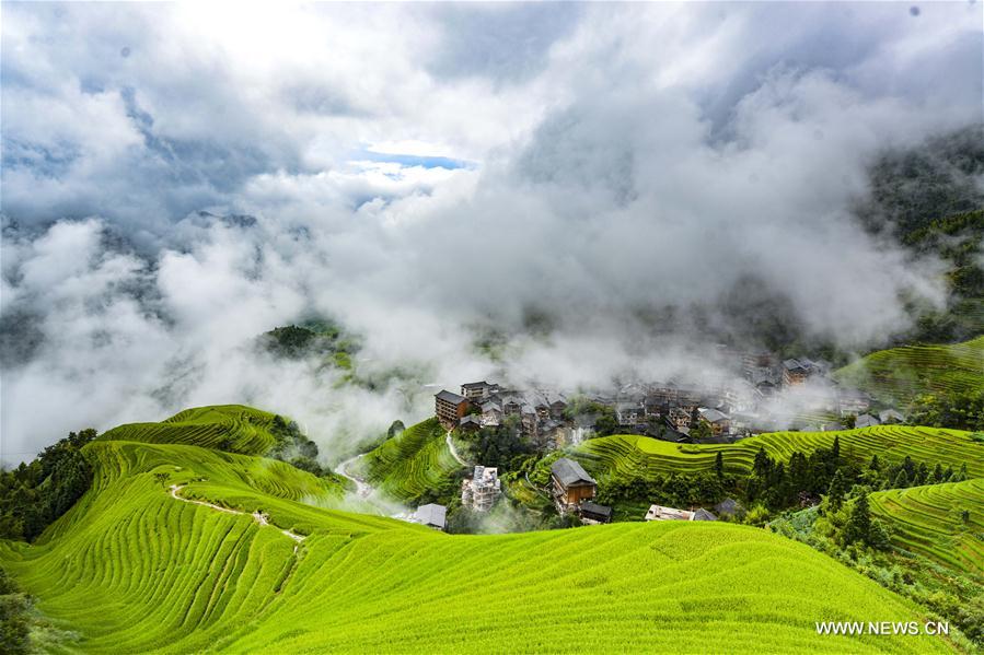 #CHINA-GUANGXI-TERRACED FIELDS-AUTUMN SCENERY (CN)