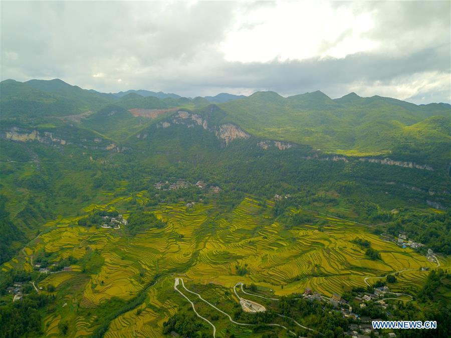 CHINA-CHONGQING-FARMWORK-TOURISM (CN)