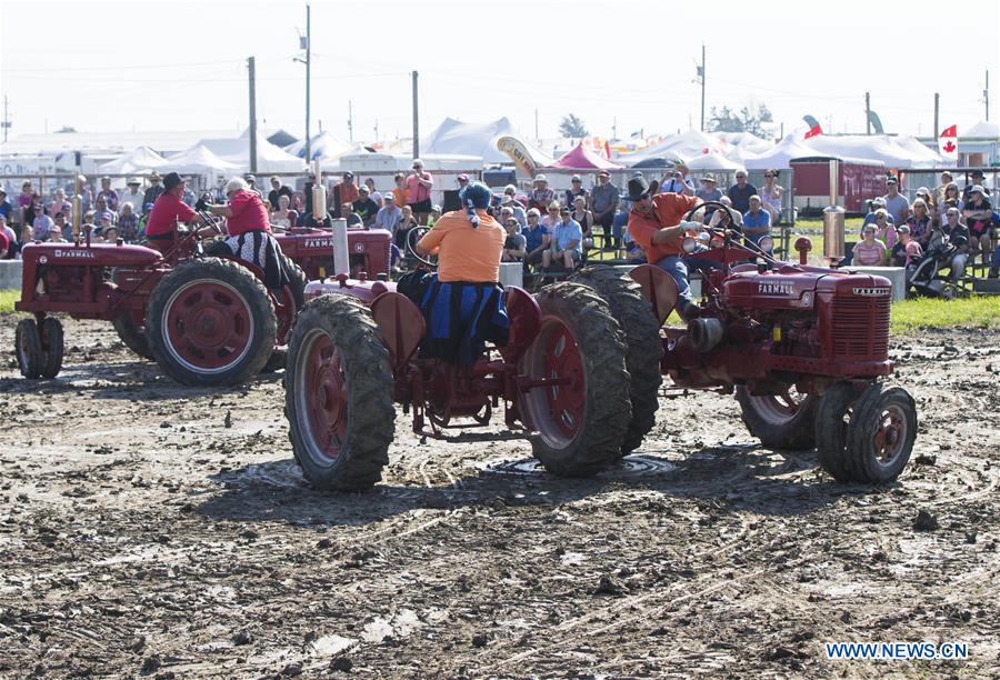 CANADA-ONTARIO-CHATHAM KENT-IPM-DANCING TRACTORS