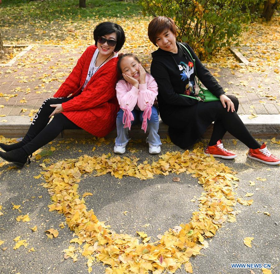 CHINA-LIAONING-GINKGO (CN)