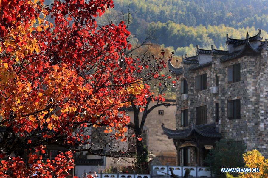 #CHINA-AUTUMN-SCENERY (CN)