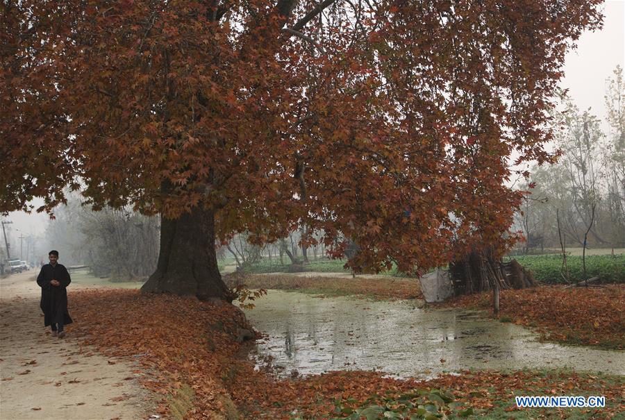 INDIAN-CONTROLLED KASHMIR-SRINAGAR-WEATHER