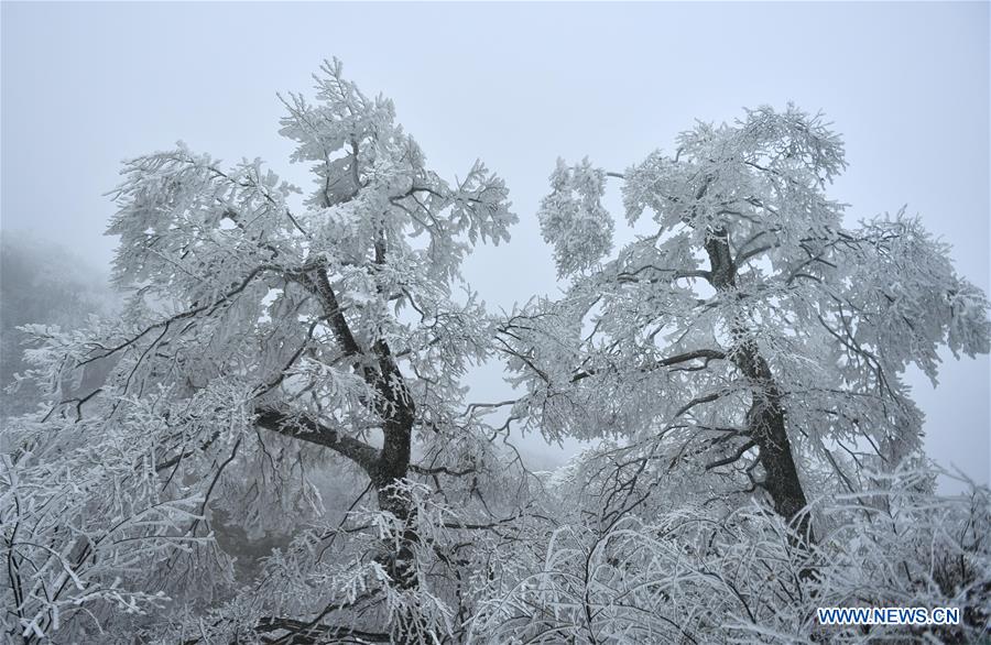 #CHINA-HUBEI-SNOW (CN)