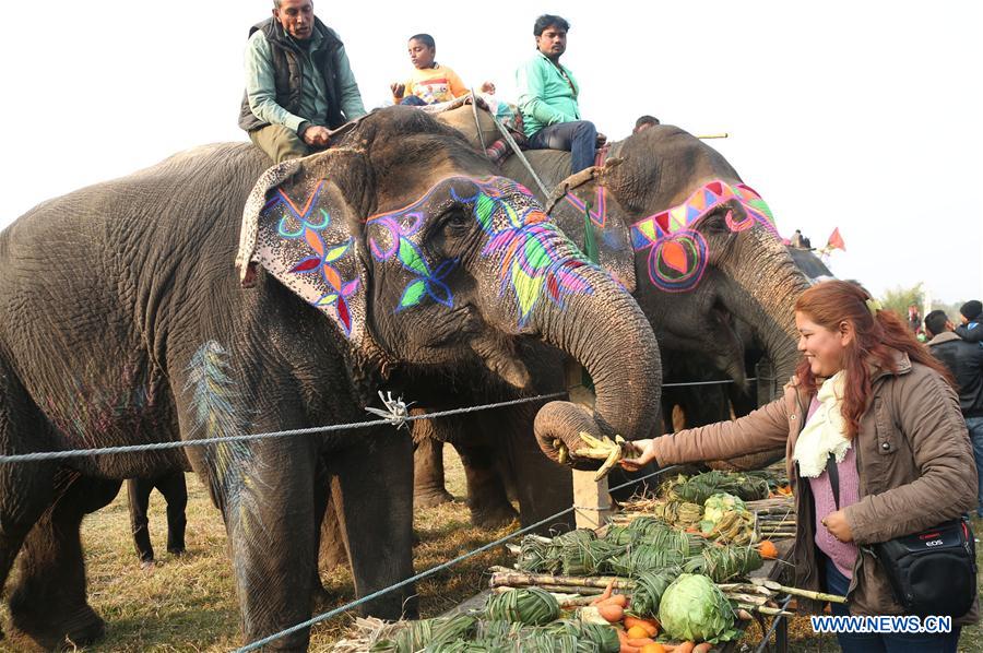 NEPAL-CHITWAN-ELEPHANT FESTIVAL