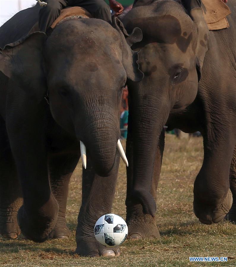 NEPAL-CHITWAN-ELEPHANT FESTIVAL