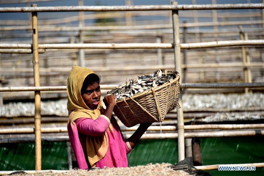 BANGLADESH-COX'S BAZAR-FISH DRYING