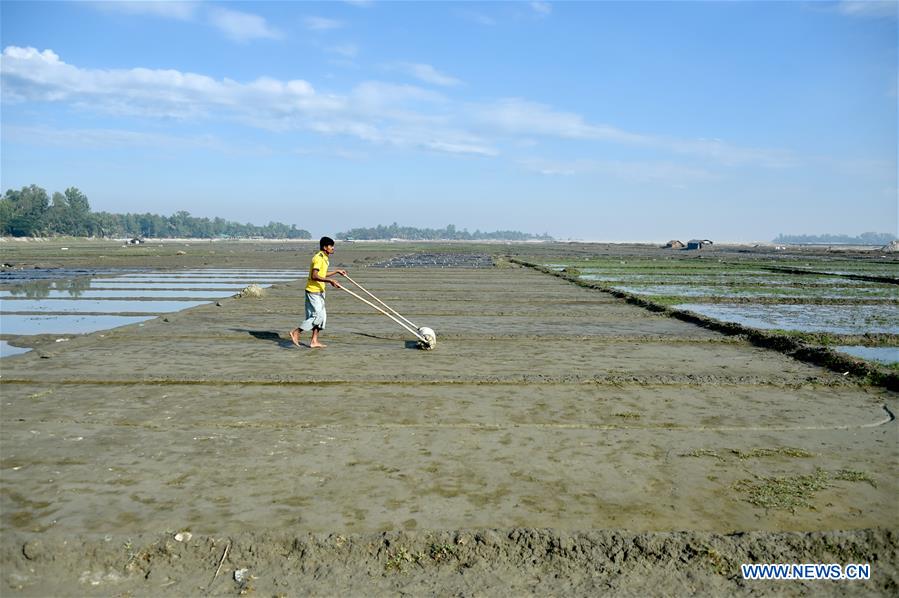 BANGLADESH-COX'S BAZAR-SALT PRODUCTION