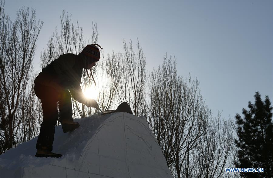 CHINA-HEILONGJIANG-HARBIN-SNOW SCULPTURE-COMPETITION (CN)