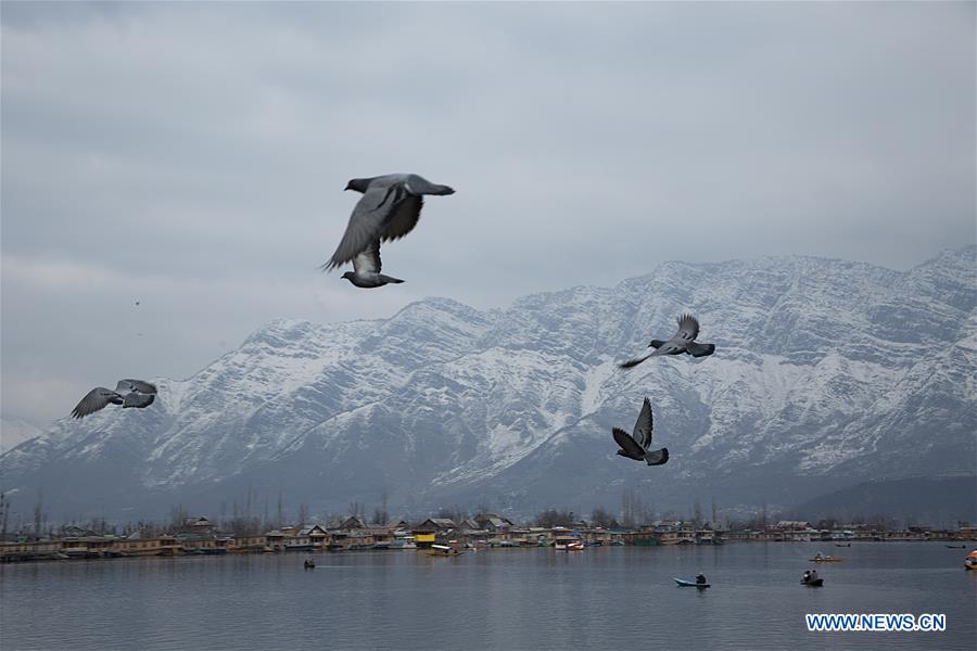 KASHMIR-SRINAGAR-DAILY LIFE