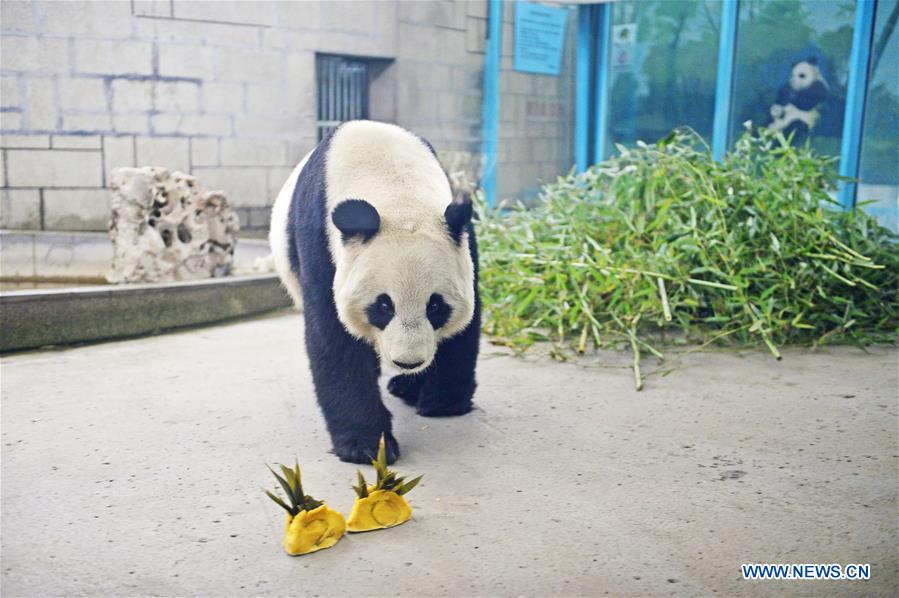 #CHINA-TIANJIN-SPRING FESTIVAL-ZOO (CN)