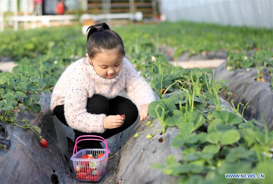 CHINA-HEBEI-HENGSHUI-FARM-TOURISM (CN)