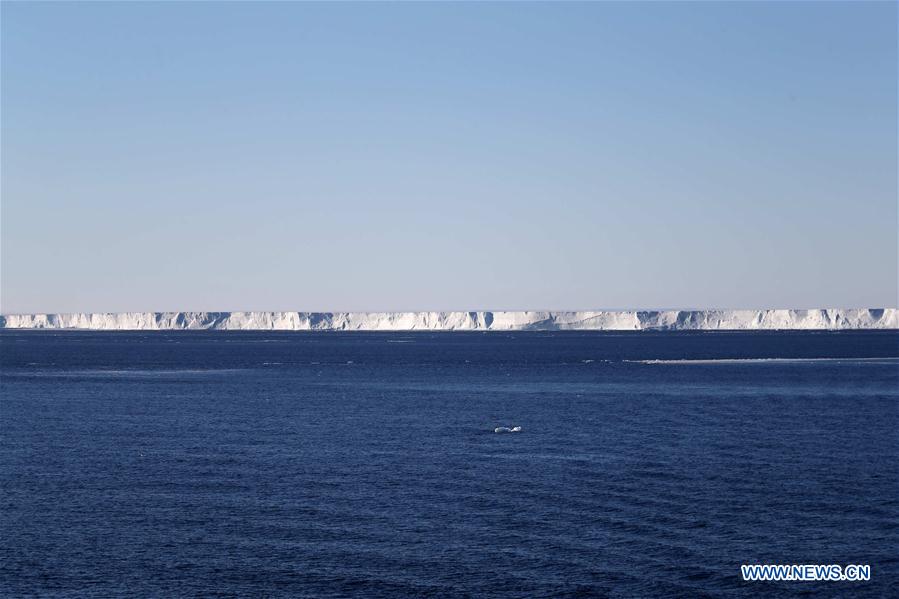 ANTARCTICA-CHINA-XUELONG-ANIMAL (CN)