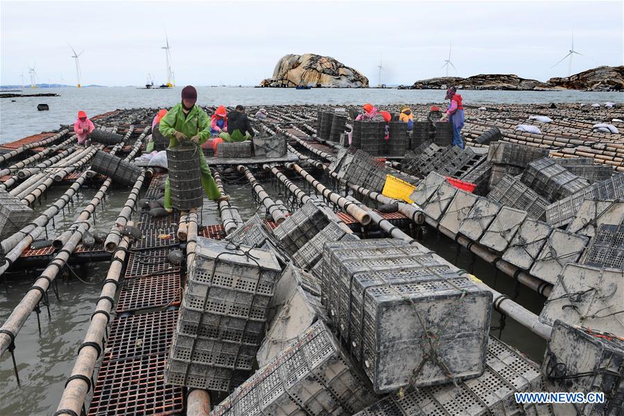 CHINA-FUJIAN-PUTIAN-MARICULTURE(CN)