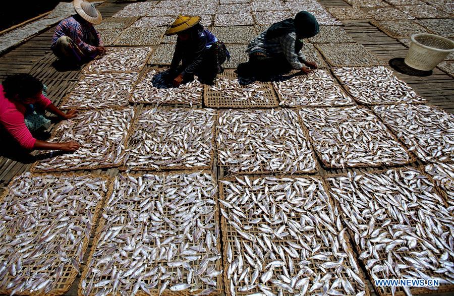 MYANMAR-THANBYUZAYAT-DRYING FISH