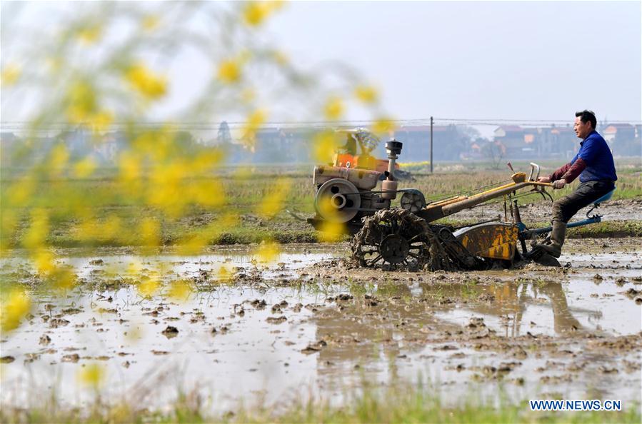 CHINA-NANCHANG-FARM WORK (CN)