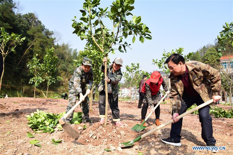 #CHINA-ARBOR DAY-TREE PLANTING (CN)