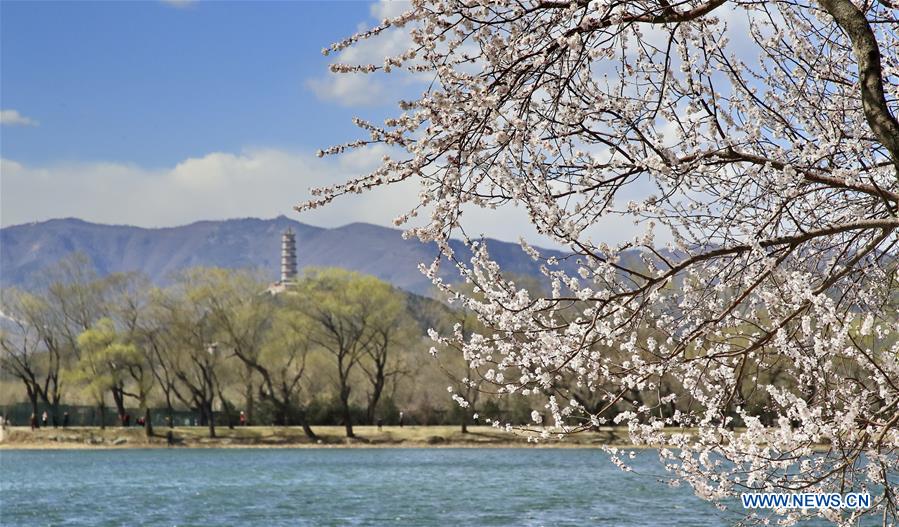 #CHINA-BEIJING-SUMMER PALACE-SCENERY (CN)