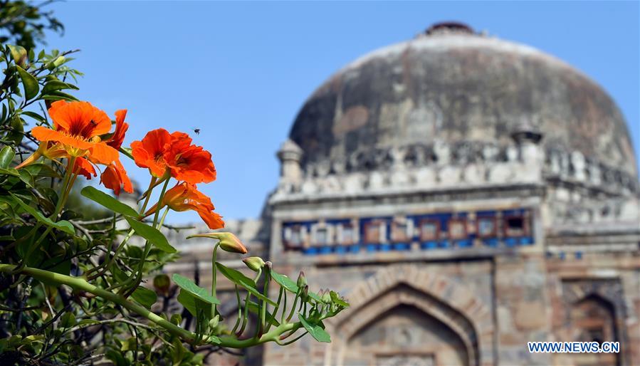 INDIA-NEW DELHI-SPRING-SCENERY