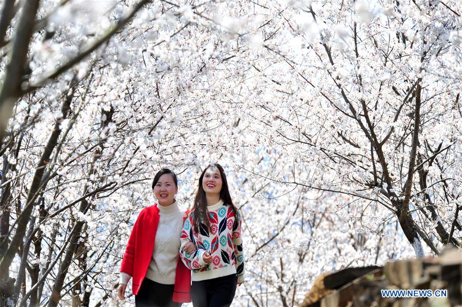 #CHINA-EARLY SPRING-FLOWERS (CN)