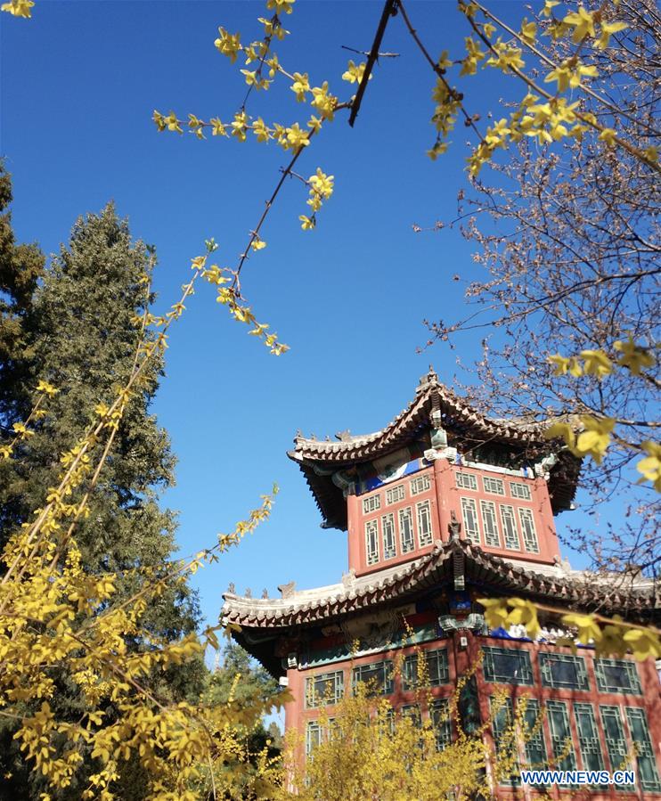 (BeijingCandid) CHINA-BEIJING-SPRING (CN)