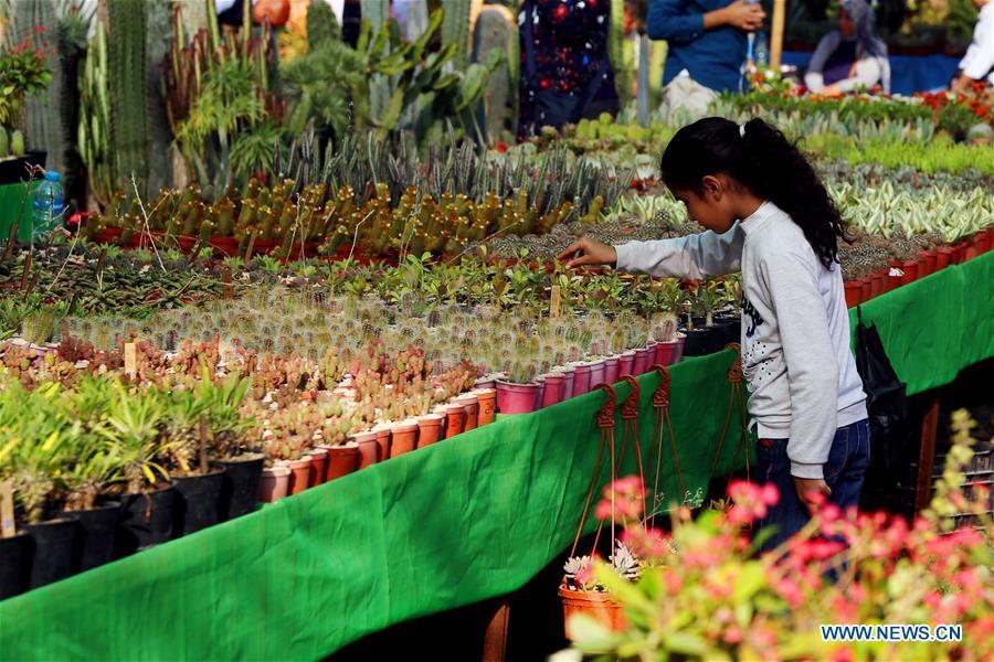 EGYPT-GIZA-FLOWER EXHIBITION