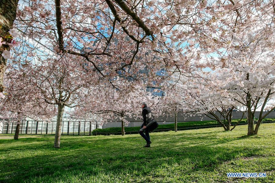 FRANCE-STRASBOURG-SPRING