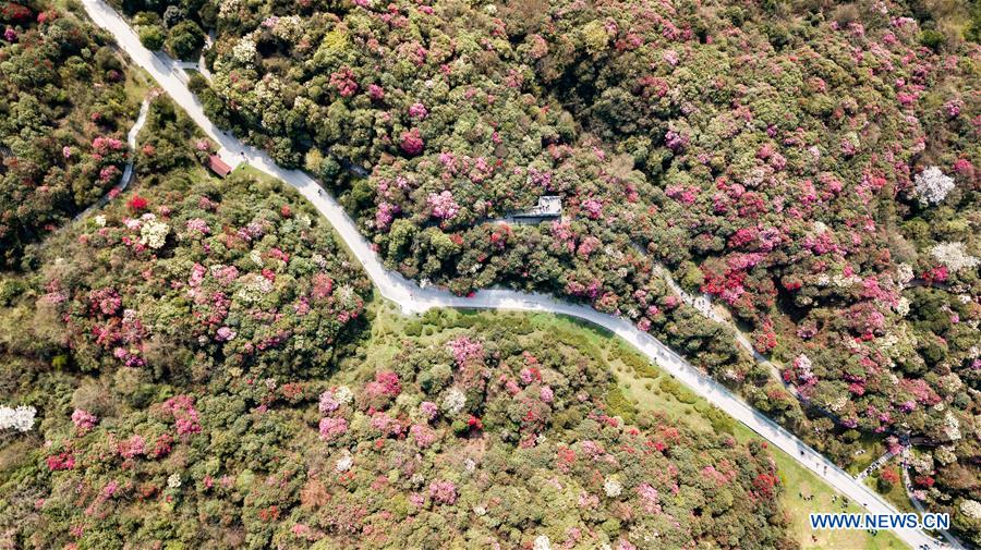 CHINA-GUIZHOU-BIJIE-SCENIC SPOT (CN)