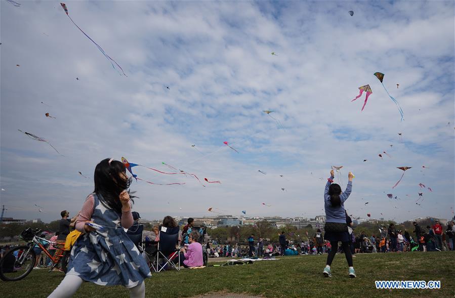 U.S.-WASHINGTON, D.C.-KITES