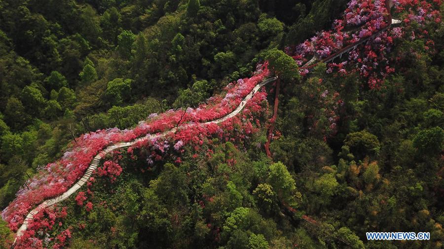 XINHUA PHOTOS OF THE DAY