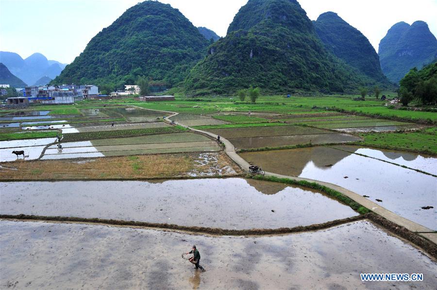 #CHINA-GUYU-AGRICULTURE-FARM WORK (CN)