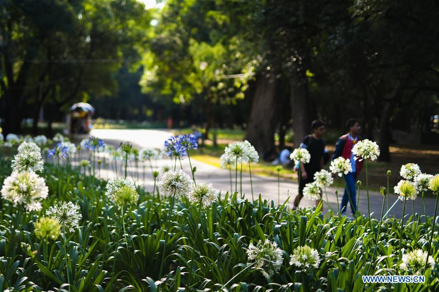 MEXICO-MEXICO CITY-PARK