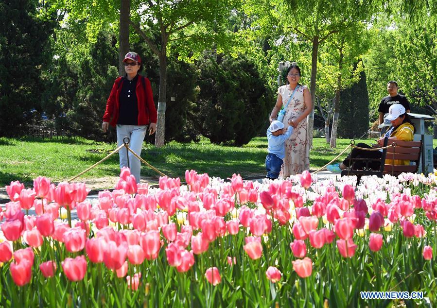 CHINA-LABOR DAY HOLIDAY-FLOWER (CN)